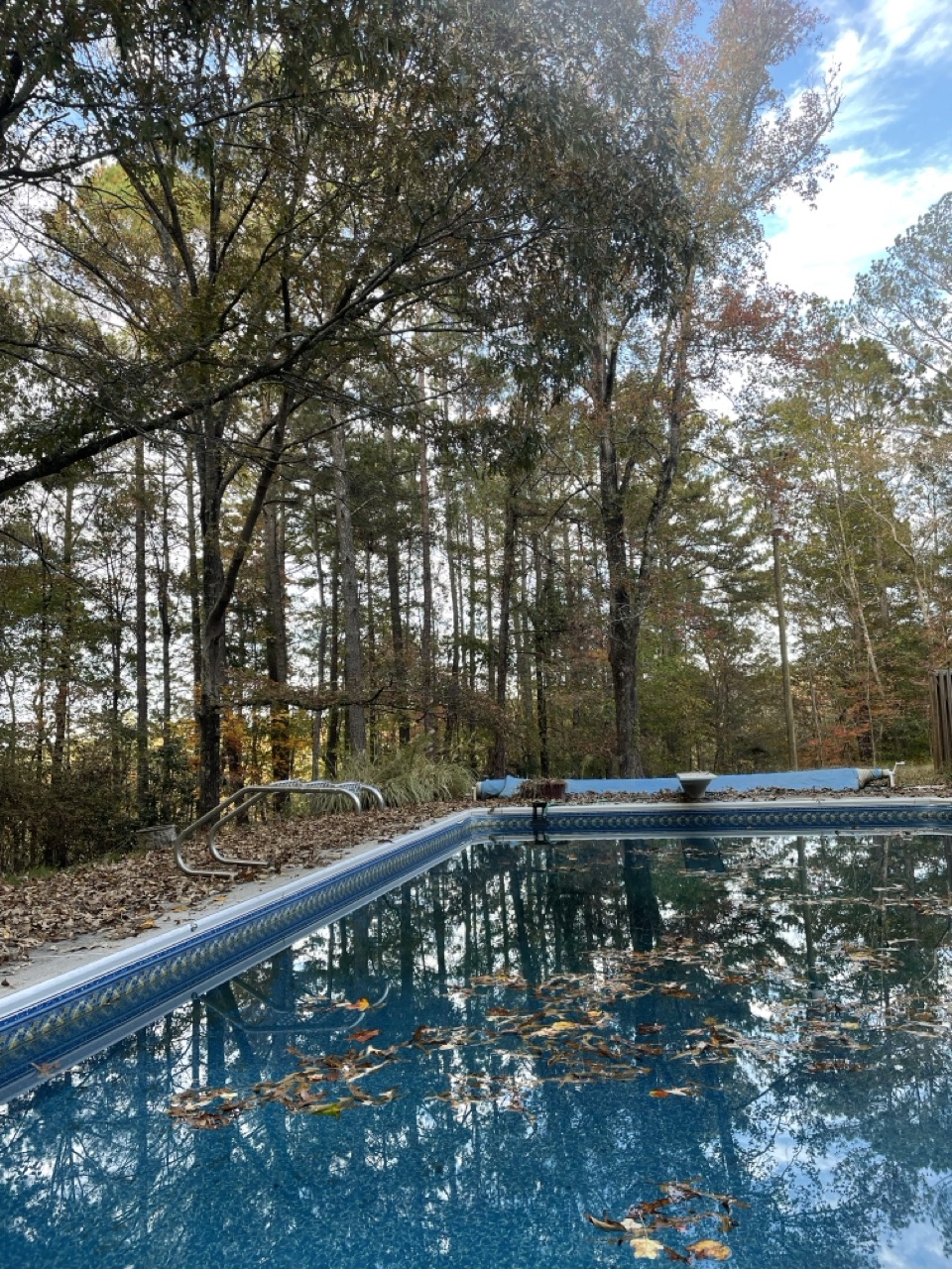 The Naughty Bear: The picture shows a serene outdoor setting with a swimming pool. The pool is rectangular and has a clear blue water. There are a few leaves floating on the surface of the water. The pool has a metal ladder on one side and the edges are adorned with blue tiles. Beyond the pool, there is a natural landscape with tall trees. The trees have a mix of green and brown leaves, suggesting it might be autumn. The ground is covered with fallen leaves. The sky is visible through the trees and it is partly cloudy. The reflection of the trees and the sky in the pool's water adds a beautiful and calming effect to the scene.